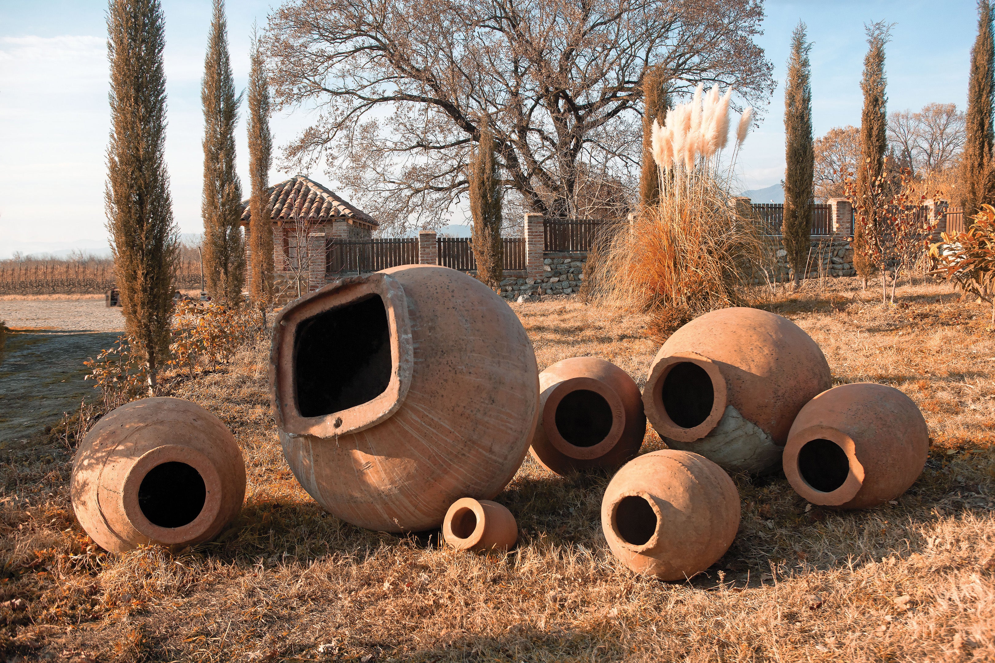 Tchotiashvili Limitierte Reserve Rkatsiteli 2009