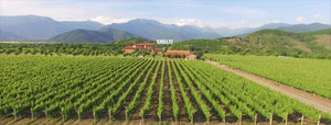 Domaine viticole Chelti