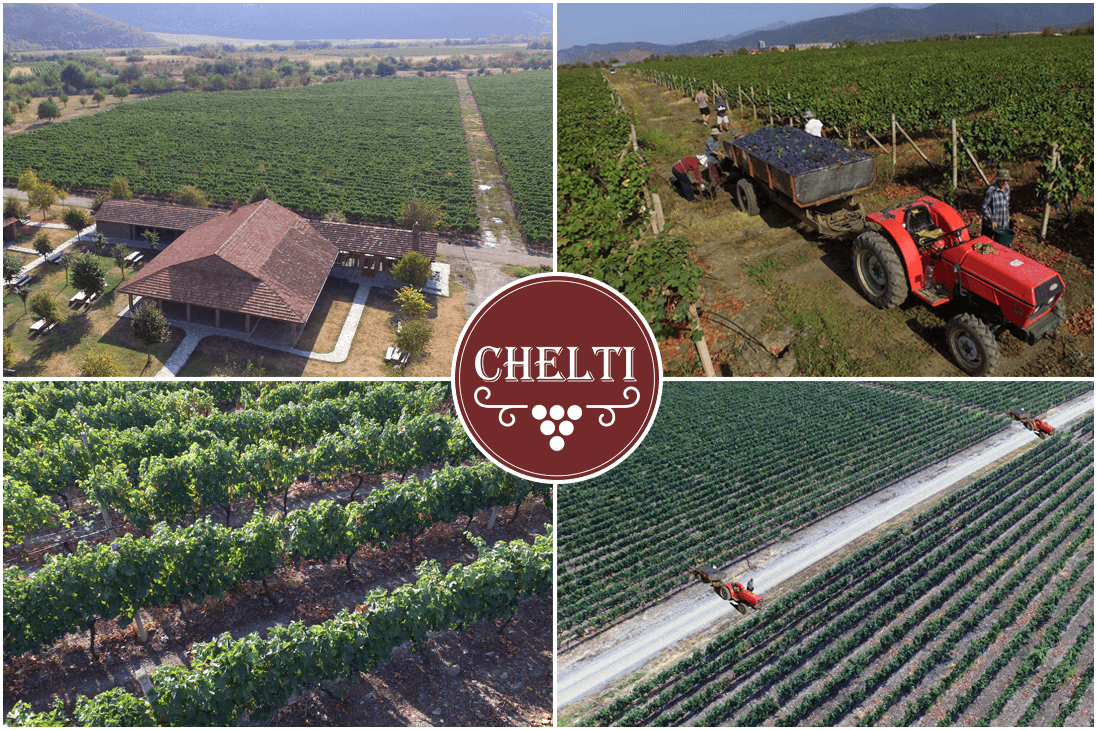 Domaine viticole Chelti